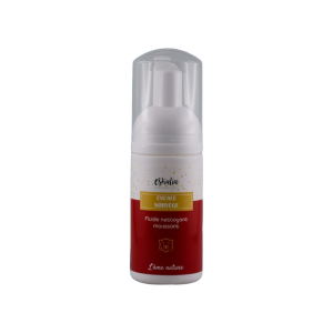 Fluide nettoyant moussant