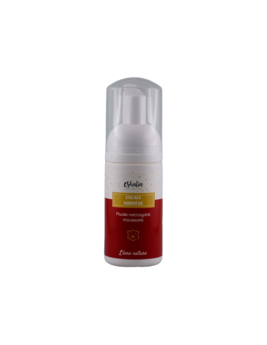 Fluide nettoyant moussant