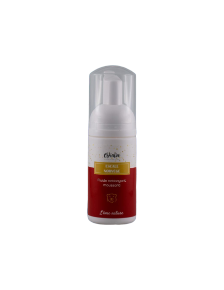Fluide nettoyant moussant