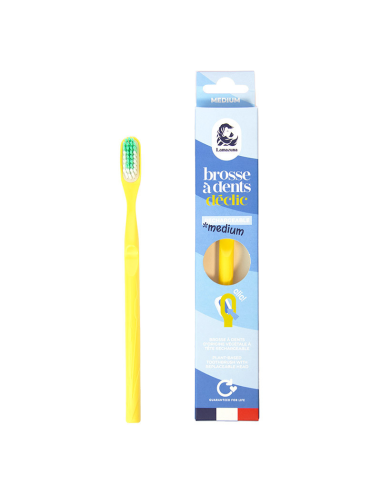 Brosse à dents rechargeable