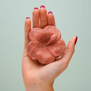 Shampooing solide à l'hibiscus