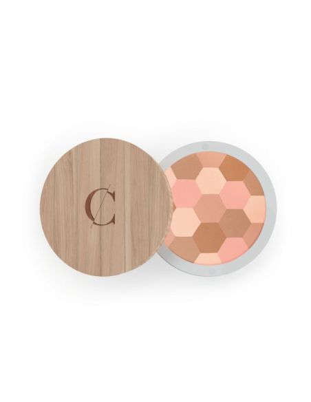 Poudre mosaïque - teint clair n° 232 