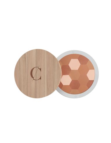 Poudre mosaïque - teint mat n° 233 