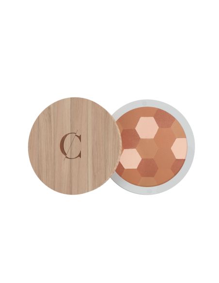 Poudre mosaïque - teint mat n° 233 