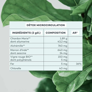 Détox micro circulation