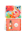 COFFRET MANDARINE ENVOUTANTE - Parfum & savon