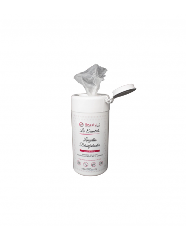 Lingettes désinfectantes x100