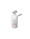 Lingettes désinfectantes x100