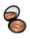 Poudre compacte perfectrice