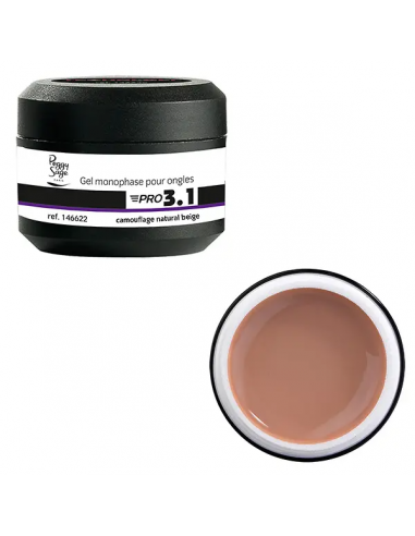 Gel de construction 3 en 1- Pro 3.1