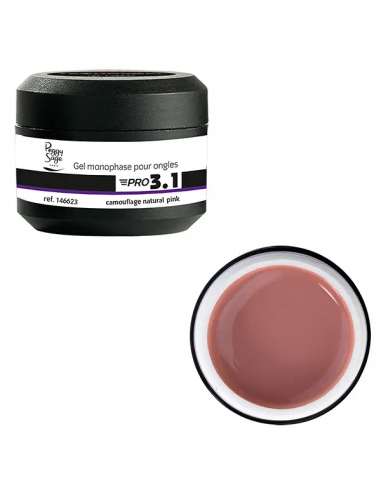 Gel de construction 3 en 1- Pro 3.1