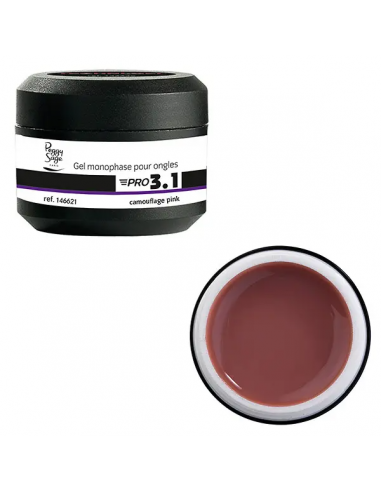 Gel de construction 3 en 1- Pro 3.1