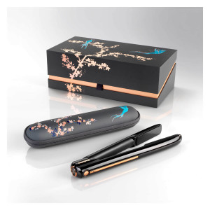 Coffret lisseur sans fil 9000