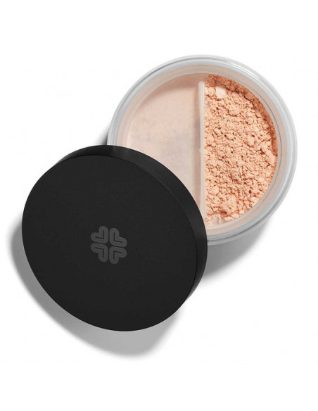 Finishing powder - Poudre de finition