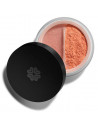 Mineral blush - Blush minéral
