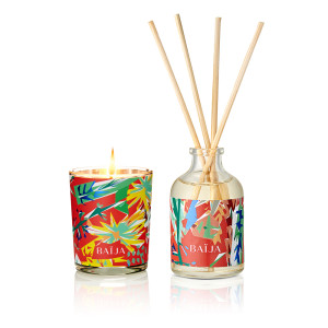 Kit Mini Bouquet + Mini bougie Mandarine & musc