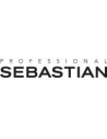 Sebastian professional
